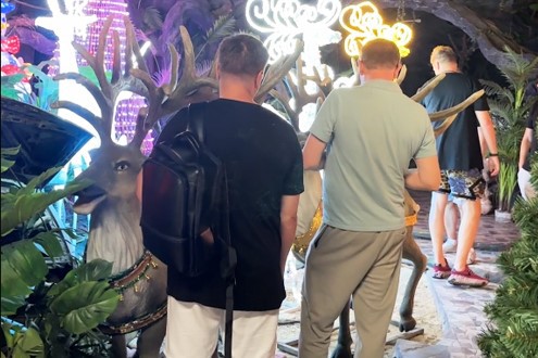 The customer visited the simulated animal exhibition hall The customer visited the simulated animal exhibition hall